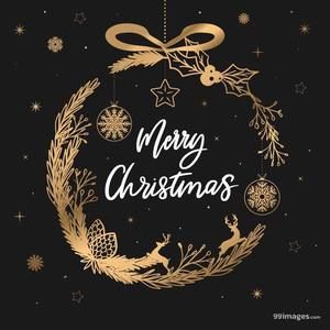 Meet your Posher, Sandy